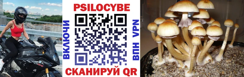 Галлюциногенные грибы Psilocybine cubensis  Шумерля 