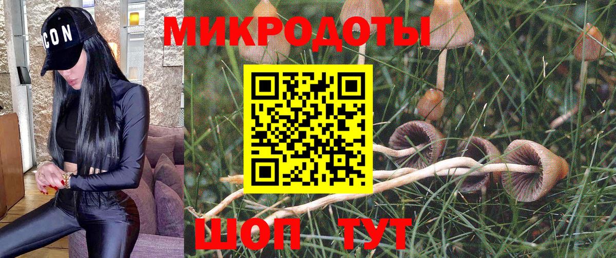 Галлюциногенные грибы ЛСД  как найти закладки  Псилоцибиновые грибы Cubensis  Шумерля  Вход с VPN 