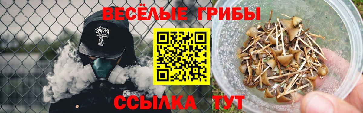 Галлюциногенные грибы Cubensis Шумерля